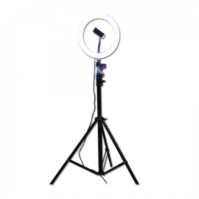 O Ring LED Stand Lighting  